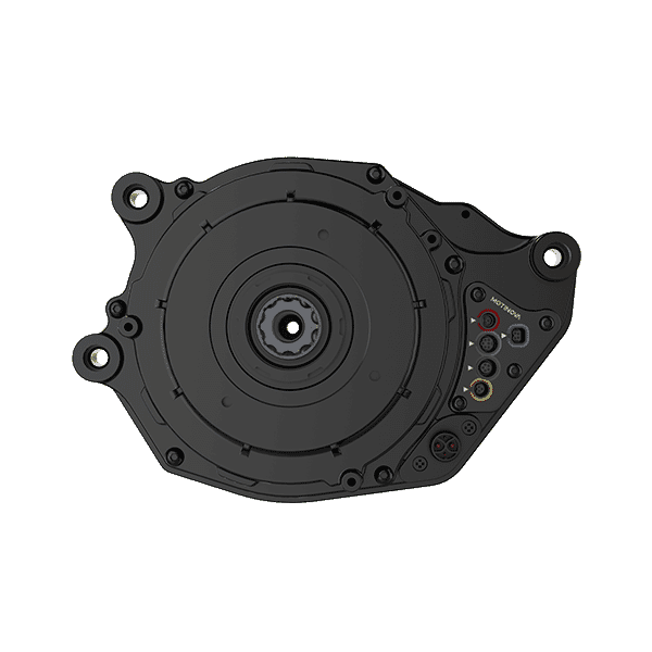 Motore pegasi Motinova di grado c 36v 250w 80nm cus 125kb-luce 6v