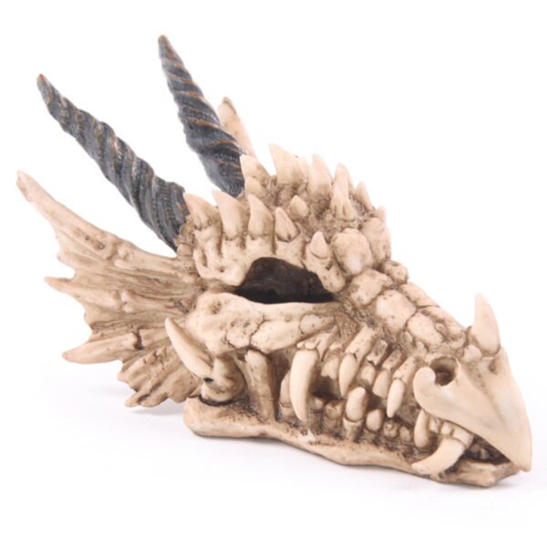 Dragen programk Money Box