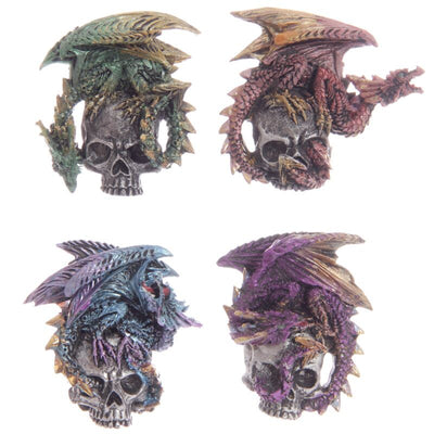 Calamita del cranio del drago gotico