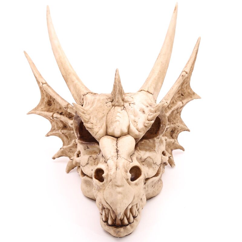 Dragon Skull Decoration - grande