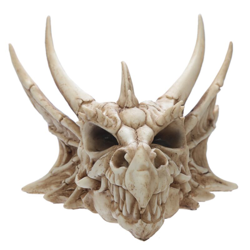 Dragon Skull Decoration