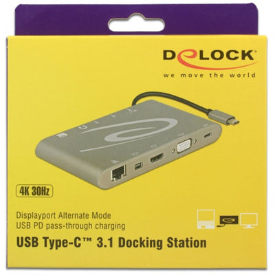 DeLOCK USB Type-C 3.1 Dockingstation 4K 30 Hz