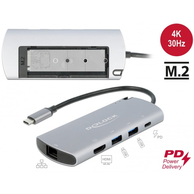 DeLOCK USB Type-C Docking Station met M.2 Slot