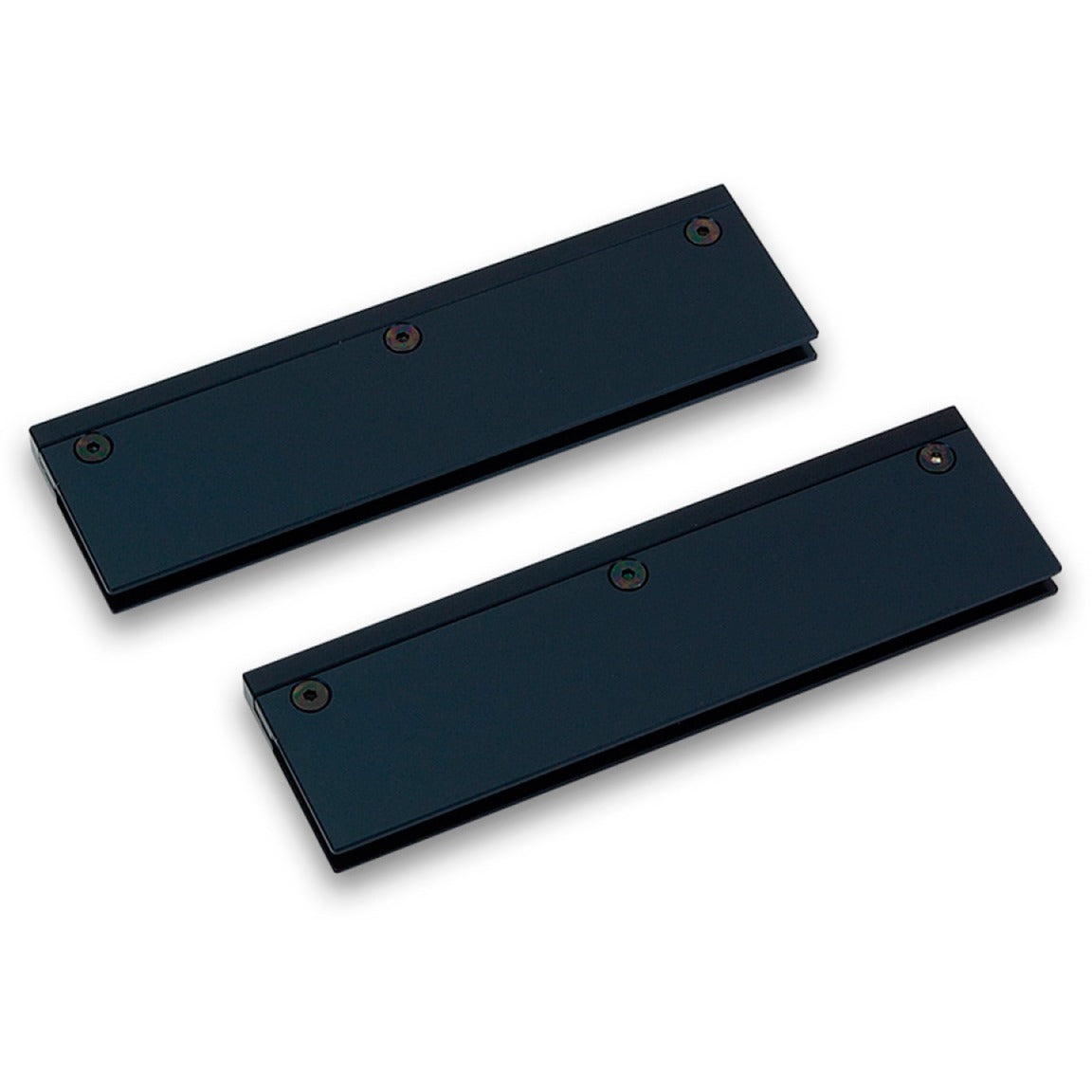 Módulo Monarca EKWB EK-RAM