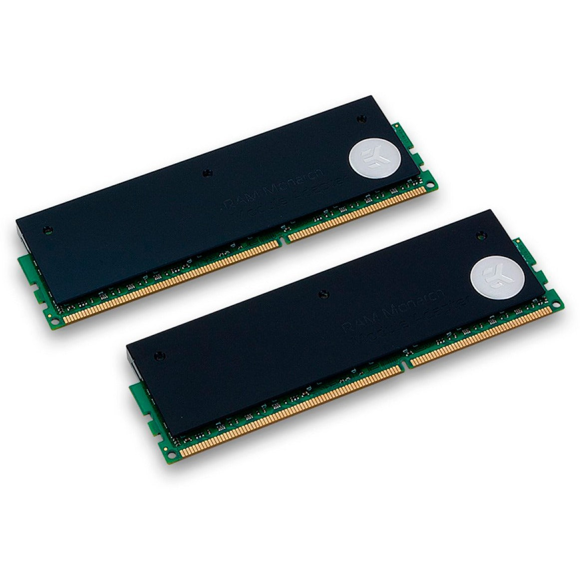 Módulo Monarca EKWB EK-RAM