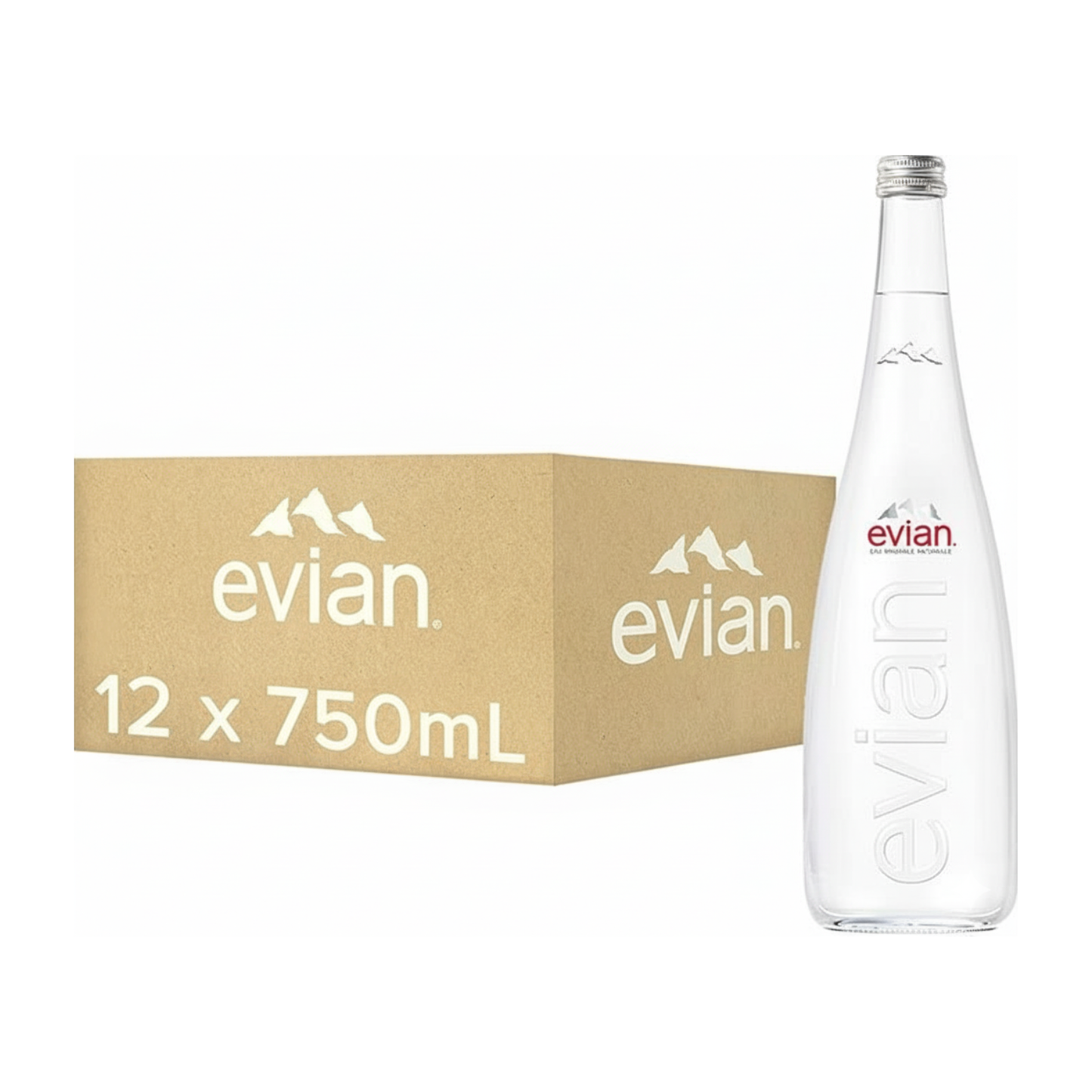 Botella de vidrio agua mineral Evian (12x75 cl)