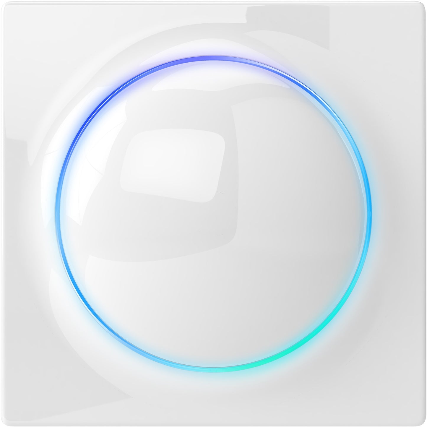 Interruptor Fibaro Walli