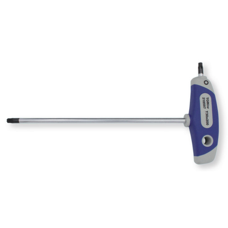 Bernese T-key topline Torx TX10X100