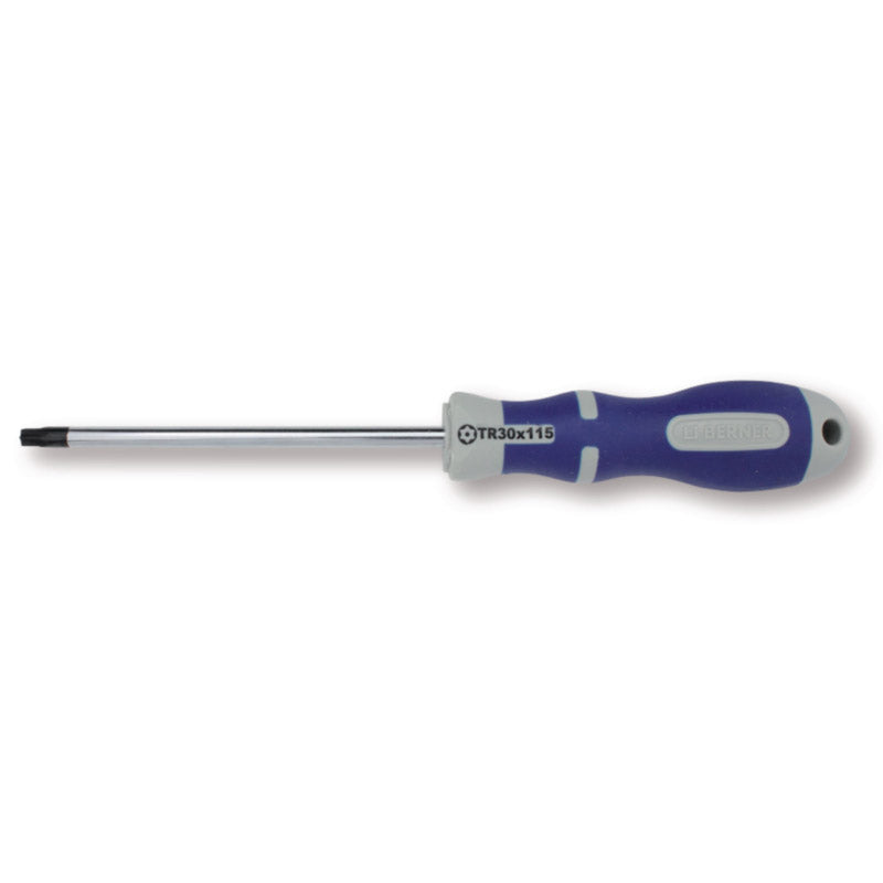 Sicurezza del cacciavite bernese Torx topline tx 20 x 100mm