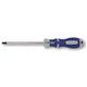 Sicurezza del cacciavite bernese Torx topline tx 20 x 100mm