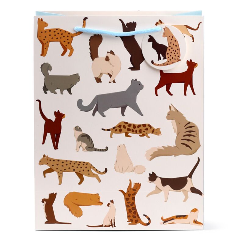 Cats finos felinos - bolsas de regalo grandes