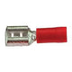 Box Slide Platker Flat Flat Woman Medium Red 4.8x0.5