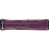 Ergon gestisce GA2 Purple Reign