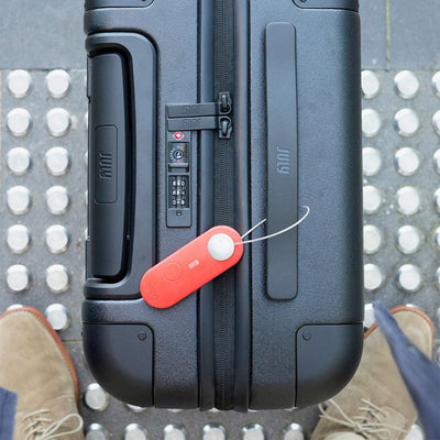 Viaggio scout di Knog - sogno di mela - mandarino