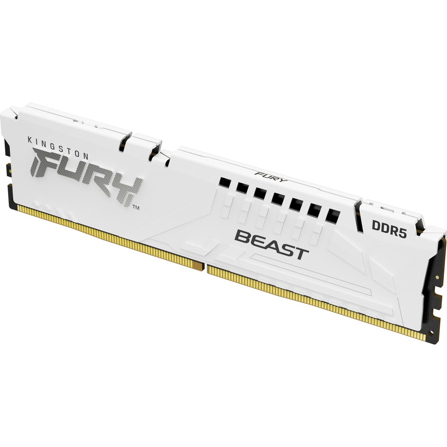 Kingston FURY 16 GB DDR5-5200