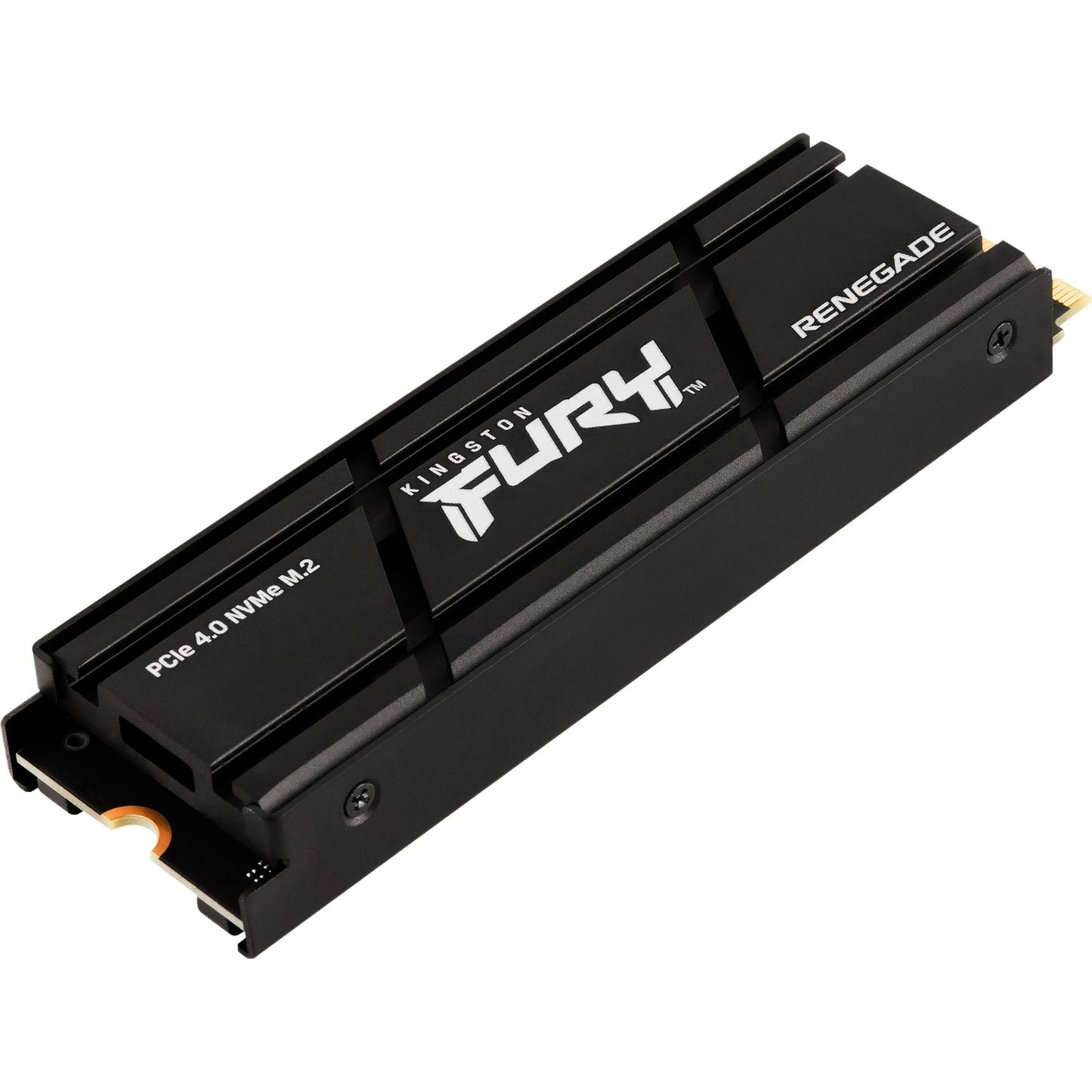 Kingston FURY Renegade met Heatsink 500 GB