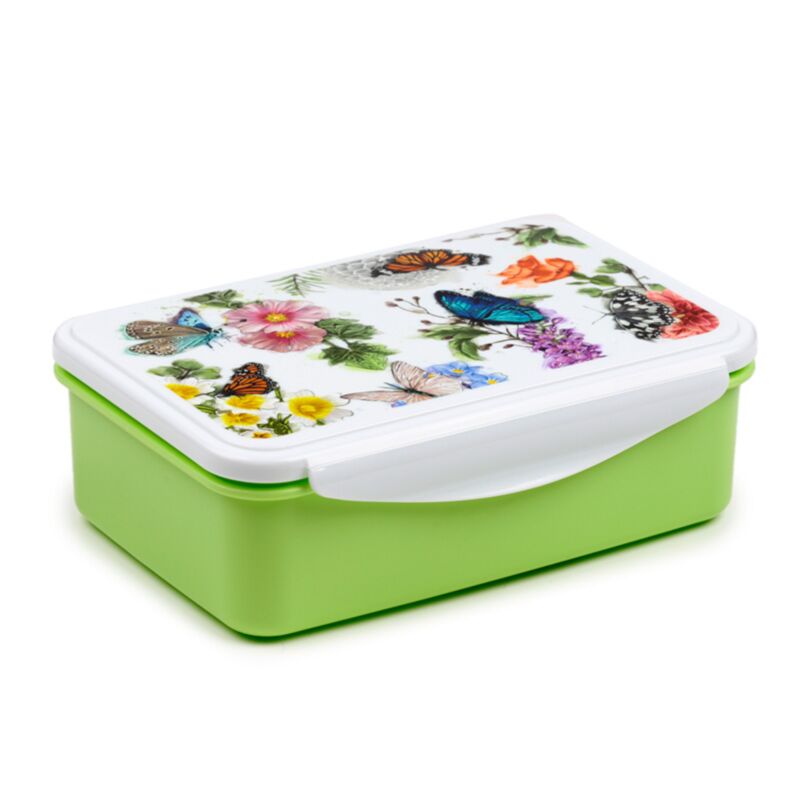 Box per pranzo a farfalla clip farfalla