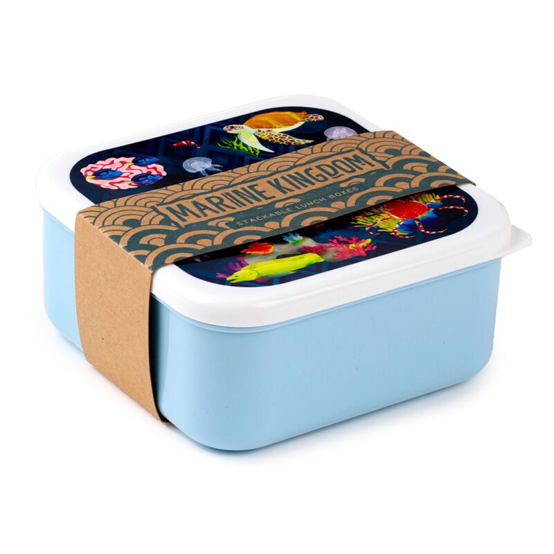 Set 3 pranzo Box M L XL - Marine Kingdom