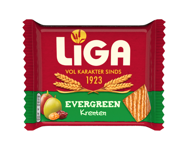 Ribes sempreverdi Liga (24x 38gr)