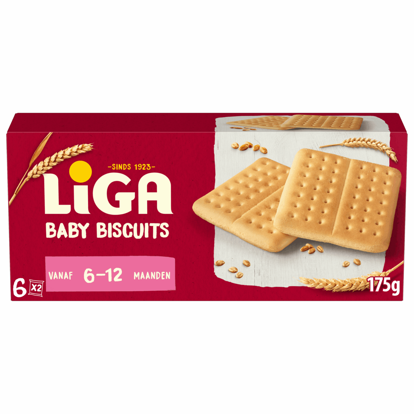 Seconda fase di lega (16x 175gr)