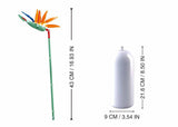 Strelitzia reginae aiton (m38-b1101-01) - afbeelding 2