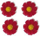Basil Flower 4 Magrietjes Red 50188