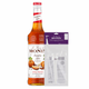 Zucca Monin + pompa (70cl)