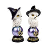 Old Magical Owl saggio su Regenboogglans Owl