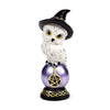 Old Magical Owl saggio su Regenboogglans Owl