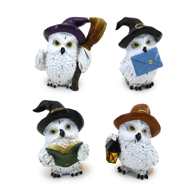Wise old magical owl betoverde leerling