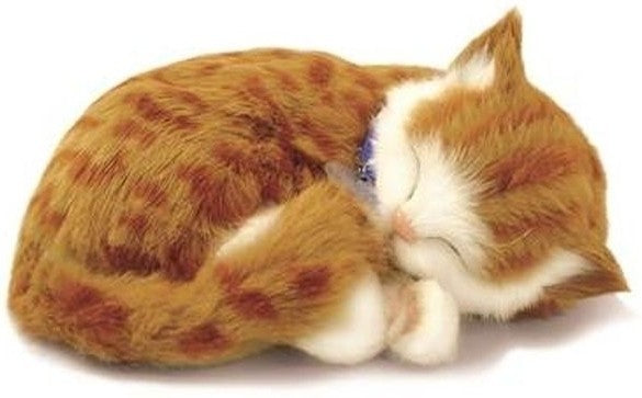 Petzzz perfecto Petzzz Soft Orange Cat