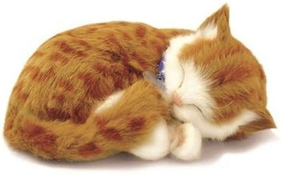 Perfect petzzz soft orange tabby (92547)