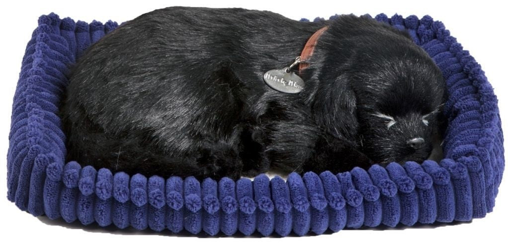 Perfect petzzz soft black labrador (96323)