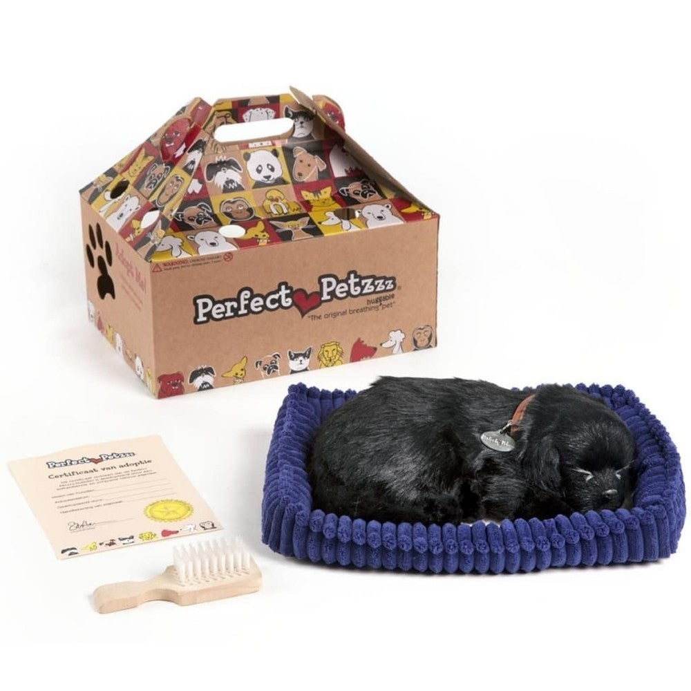 Perfect petzzz soft black labrador (96323)