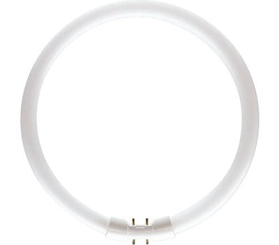 Philips TL5 Circolare 55W 840 Master Bianco Freddo 2Gx13 | 10 pezzi
