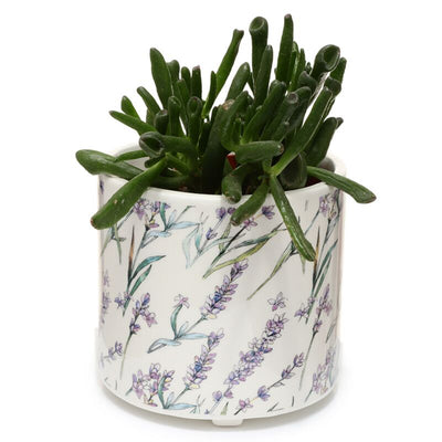 Pick of the Bunch Lavendel Velden Standing Flowerpot en el interior - Grande