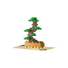 Confezioni di piante plus plus - bonsai verdi piante plus-plus flowers (4338)