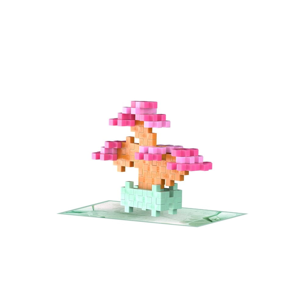 Confezioni di piante Plus Plus - Piante bonsai rosa plus-plus flowers (4339)