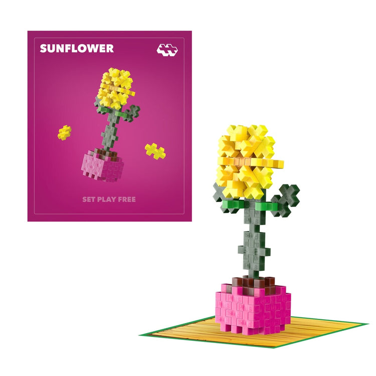 Packs plantas plus plus - plantas girasol plus-plus flores (4340)