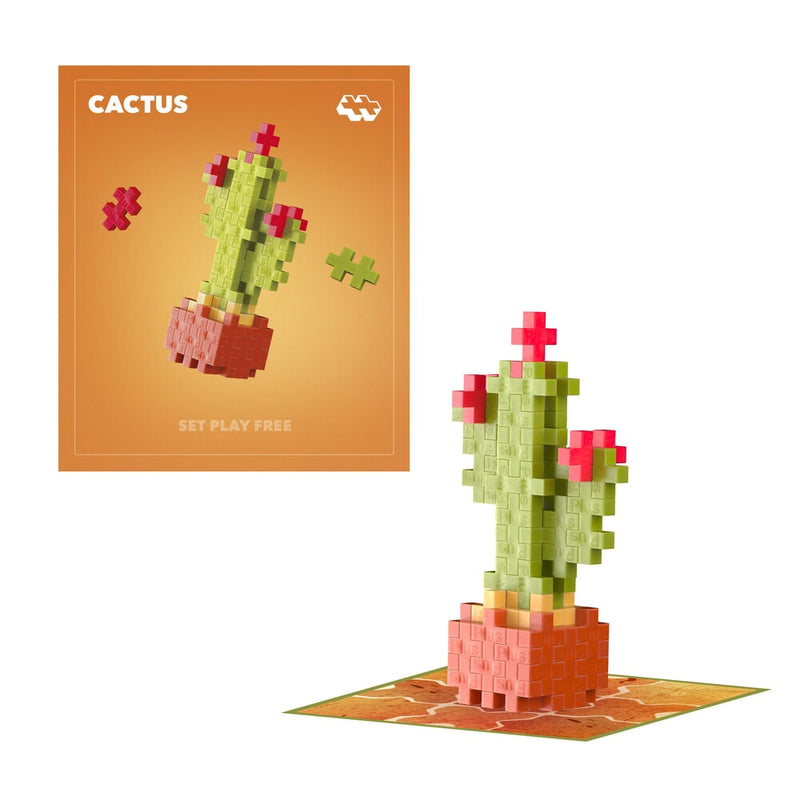 Confezioni di piante plus plus - piante di cactus plus-plus flowers (4343)