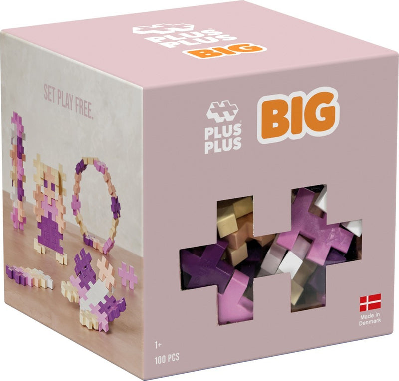 Plus plus Bloom big plus-plus: 100 pezzi (3491)