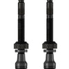 Schwalbe tubeless ventiel scv 60 mm (2 stuks)