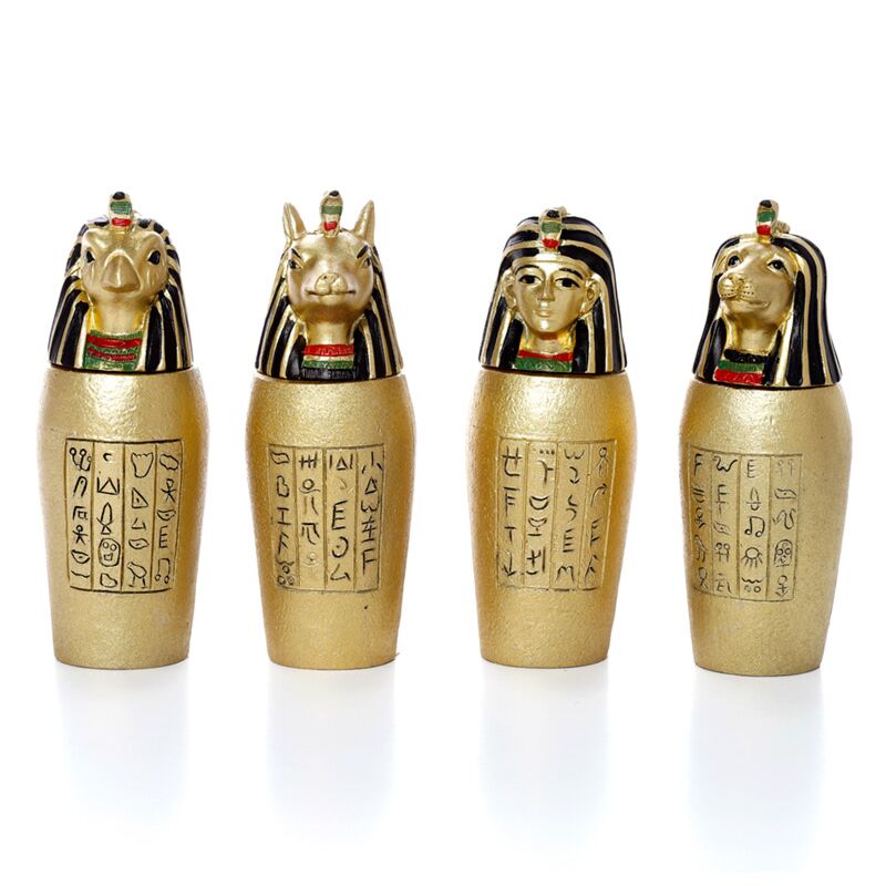 Mometa egipcia Jug Gold de color