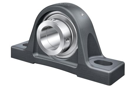 Ina cuscinetto in piedi