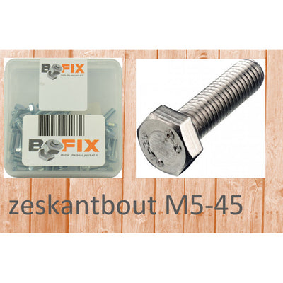 Bofix zeskantbout m5x45 (25st)