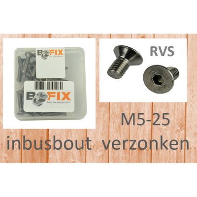 Bofix Allenbout M5X25 Acciaio inossidabile Sunken Head (25 °)