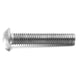 Bofix Allenbout M6X25 Bolkop de acero inoxidable (25)