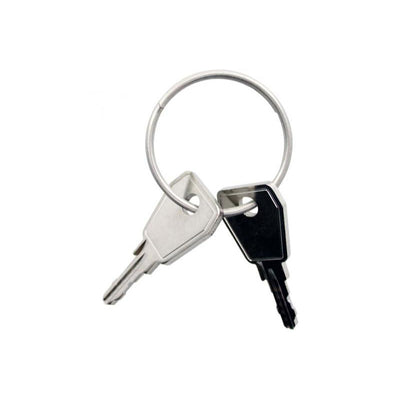 Thule Yepp sleutel Nexxt P0 2 stuks