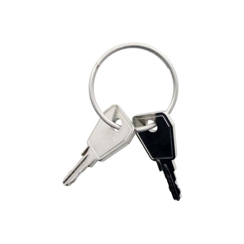 Thule Yepp sleutel Nexxt P6 2 stuks