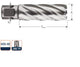 Punta a corona Rotec hss silver-line 46.0mm sl55 weldon